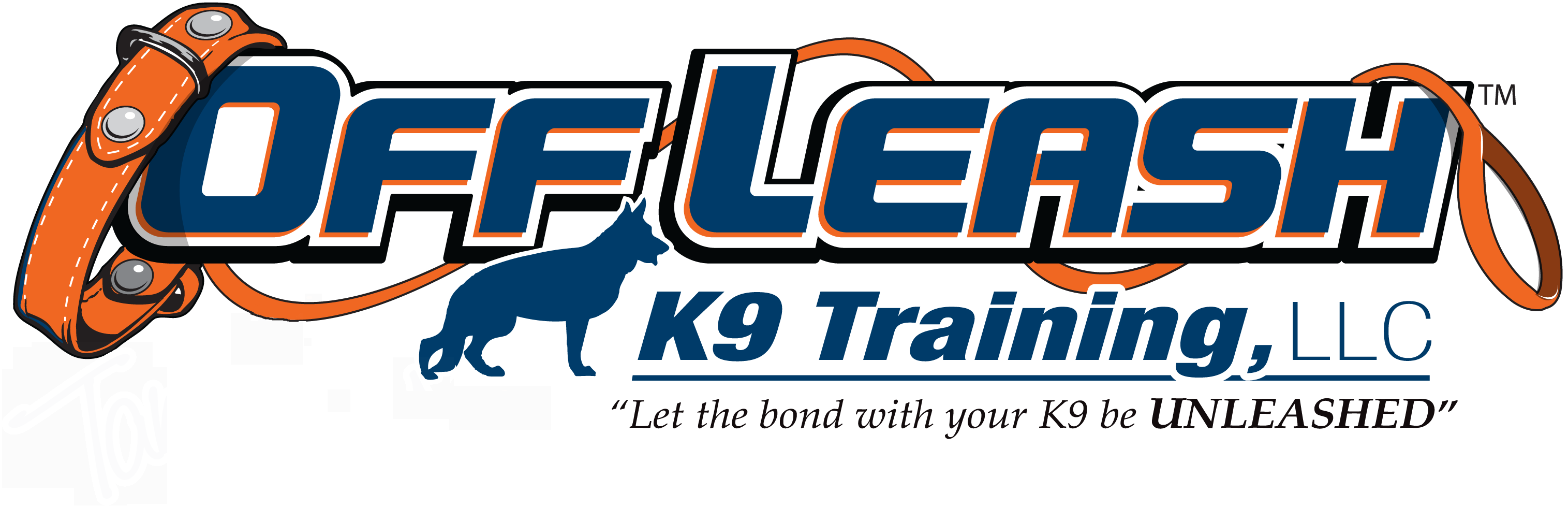 Stamford CT Offleash K9 Dog Training