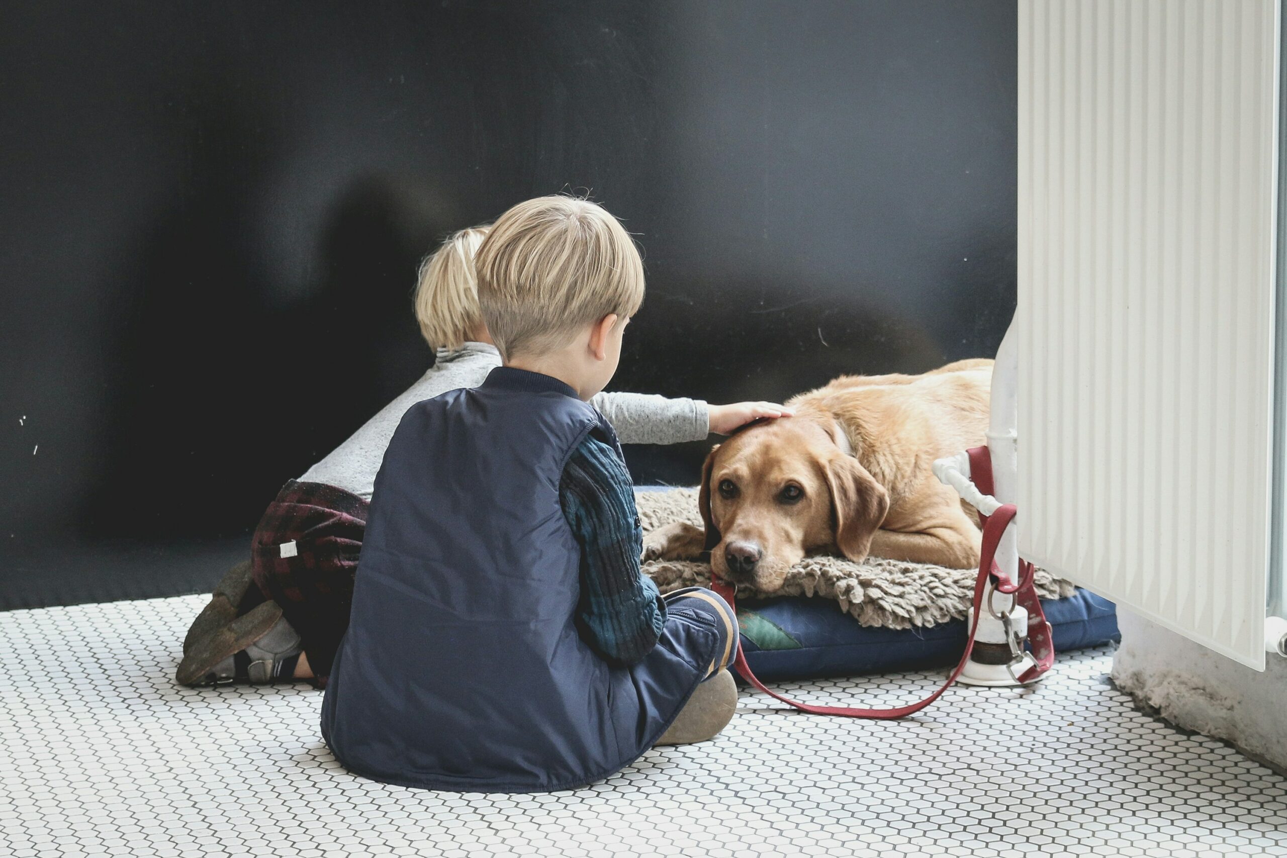 How Dogs Enhance Autism Therapy for Children