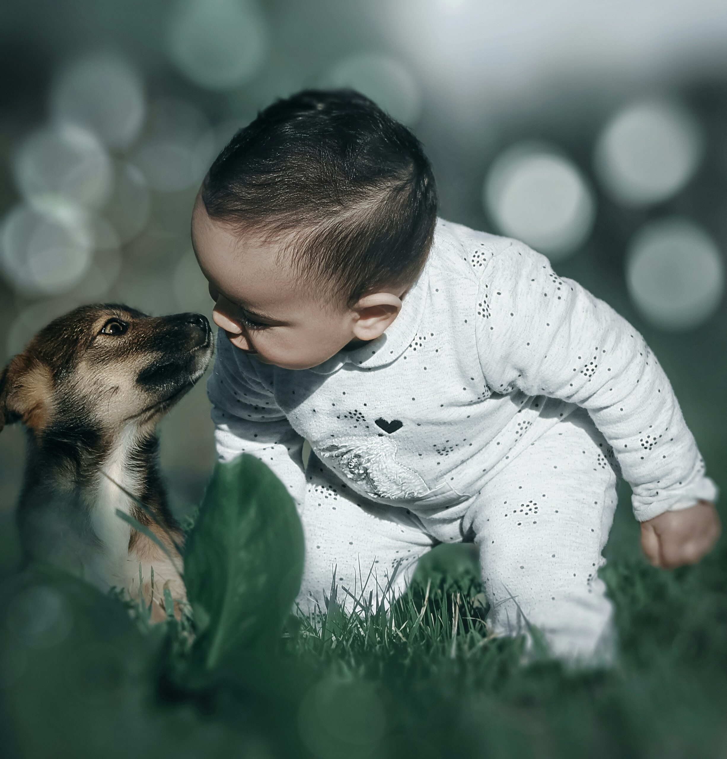 Navigating the Dog-Baby Dynamic: Tips for a Harmonious Relationship