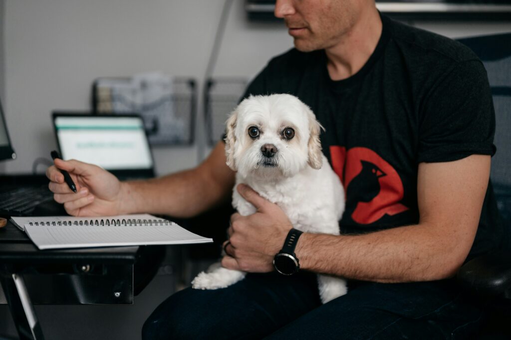 Successful businesses rely on more than just talent and productivity—they thrive on collaboration, communication, and a strong sense of team. While many companies turn to workshops and retreats to build this kind of camaraderie, one simple and surprisingly effective tool is often overlooked: dogs in the workplace.

Having dogs around doesn’t just reduce stress or boost morale; it also helps build stronger teams. From creating organic opportunities for interaction to encouraging shared responsibility, dogs can transform workplace dynamics in remarkable ways.

Natural Icebreakers for New Relationships
Starting a conversation at work isn’t always easy, especially in larger companies or remote-friendly environments. Dogs make it easier. Whether it’s someone asking, “What’s your dog’s name?” or laughing at a puppy’s silly antics, dogs act as natural social lubricants.

These spontaneous interactions help break the ice between coworkers who might not otherwise connect. Over time, this leads to more cross-department collaboration and a friendlier, more open work culture.

Fostering Informal Conversations
While formal meetings are necessary, it’s often the informal, hallway chats that spark innovative ideas or solve stubborn problems. Dogs provide opportunities for these casual conversations to happen more frequently.

A quick chat while letting your dog outside or meeting someone in the break room as your dogs play can foster connections that build trust and open the door to collaboration. These moments strengthen relationships that benefit work-related projects down the line.

Shared Responsibility Builds Trust
When multiple team members help care for a dog—walking it, refilling its water, or playing with it during breaks—they build a subtle sense of shared purpose. These small acts of cooperation reinforce team spirit and promote the idea that everyone contributes to the workplace experience.

This spirit can spill over into project work, where mutual support and a willingness to pitch in become part of the team culture.

Strengthening Remote and Hybrid Teams
Even for remote or hybrid offices, having dogs involved in workplace culture can support connection. Pet-friendly video meetings, dedicated Slack channels for sharing dog photos, or in-office dog days where hybrid teams gather can build camaraderie beyond daily tasks.

Dogs give employees something light-hearted and personal to bond over, which helps humanize interactions and strengthen remote relationships.

Reducing Social Tension
In high-pressure work environments, miscommunication or interpersonal conflict can sometimes arise. The presence of dogs can help de-escalate tension. Their calming influence softens the tone of conversations, provides emotional relief, and helps reset the room.

Simply having a dog around can make people more approachable and receptive to feedback—important factors for open and productive communication.

Creating a Collaborative Culture
A pet-friendly policy signals that a company values openness, flexibility, and employee happiness—all characteristics that support collaboration. When leadership creates an environment where dogs are welcome, it sets a tone of inclusivity and care.

Employees in such cultures often feel more empowered to share ideas, take initiative, and engage more deeply with team members. Dogs, while not the sole factor, help reinforce the kind of atmosphere where collaboration can flourish.

Encouraging Empathy and Understanding
Dogs can also help teach valuable soft skills. Pet owners often develop greater empathy, patience, and communication skills through caring for their animals. These qualities transfer into the workplace, helping team members better relate to each other.

When coworkers regularly interact around their pets, they also learn more about each other’s personalities and lives outside of work. This deeper understanding improves group dynamics and fosters mutual respect.

Establishing Rituals That Strengthen Bonds
Whether it’s a daily dog walk break, a team outing to a dog-friendly café, or celebrating a pup’s birthday with office treats, dogs create fun rituals that strengthen social bonds.

These shared traditions give coworkers something to look forward to and talk about beyond project updates and deadlines. They help maintain morale and deepen personal connections that carry over into team collaboration.

Tips for Maximizing the Team Benefits of Dogs
To ensure dogs contribute positively to teamwork and not distraction, here are a few simple guidelines:

Encourage shared dog time: Let team members take turns walking or playing with the office dog.

Create social spaces: Designate a dog-friendly common area where employees can gather informally.

Respect boundaries: Not everyone loves dogs, so offer dog-free zones and always ask before introducing pets.

Use pets in team building: Plan events like "bring your dog to work" days or pet-themed team activities.

Final Thoughts
When it comes to building better teams, we often look to workshops, coaching, and strategy sessions—but sometimes, a furry friend with a wagging tail is the best team builder of all.

Dogs help people connect more easily, communicate more openly, and support one another more willingly. In doing so, they help create workplaces that are not only more productive but also more human.

If your team could use a boost in connection and collaboration, consider letting dogs lead the way.