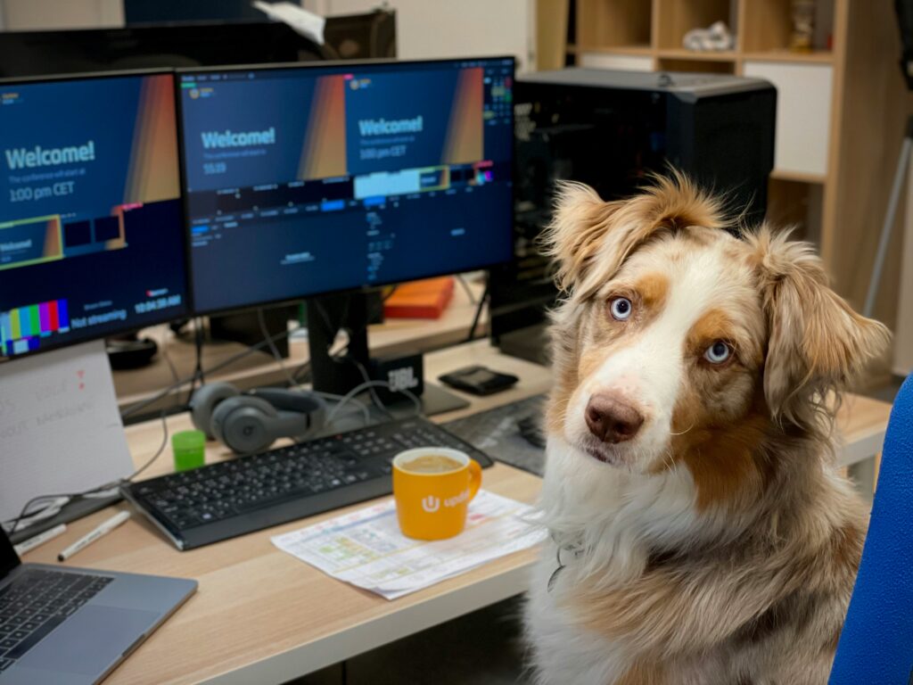 Successful businesses rely on more than just talent and productivity—they thrive on collaboration, communication, and a strong sense of team. While many companies turn to workshops and retreats to build this kind of camaraderie, one simple and surprisingly effective tool is often overlooked: dogs in the workplace.

Having dogs around doesn’t just reduce stress or boost morale; it also helps build stronger teams. From creating organic opportunities for interaction to encouraging shared responsibility, dogs can transform workplace dynamics in remarkable ways.

Natural Icebreakers for New Relationships
Starting a conversation at work isn’t always easy, especially in larger companies or remote-friendly environments. Dogs make it easier. Whether it’s someone asking, “What’s your dog’s name?” or laughing at a puppy’s silly antics, dogs act as natural social lubricants.

These spontaneous interactions help break the ice between coworkers who might not otherwise connect. Over time, this leads to more cross-department collaboration and a friendlier, more open work culture.

Fostering Informal Conversations
While formal meetings are necessary, it’s often the informal, hallway chats that spark innovative ideas or solve stubborn problems. Dogs provide opportunities for these casual conversations to happen more frequently.

A quick chat while letting your dog outside or meeting someone in the break room as your dogs play can foster connections that build trust and open the door to collaboration. These moments strengthen relationships that benefit work-related projects down the line.

Shared Responsibility Builds Trust
When multiple team members help care for a dog—walking it, refilling its water, or playing with it during breaks—they build a subtle sense of shared purpose. These small acts of cooperation reinforce team spirit and promote the idea that everyone contributes to the workplace experience.

This spirit can spill over into project work, where mutual support and a willingness to pitch in become part of the team culture.

Strengthening Remote and Hybrid Teams
Even for remote or hybrid offices, having dogs involved in workplace culture can support connection. Pet-friendly video meetings, dedicated Slack channels for sharing dog photos, or in-office dog days where hybrid teams gather can build camaraderie beyond daily tasks.

Dogs give employees something light-hearted and personal to bond over, which helps humanize interactions and strengthen remote relationships.

Reducing Social Tension
In high-pressure work environments, miscommunication or interpersonal conflict can sometimes arise. The presence of dogs can help de-escalate tension. Their calming influence softens the tone of conversations, provides emotional relief, and helps reset the room.

Simply having a dog around can make people more approachable and receptive to feedback—important factors for open and productive communication.

Creating a Collaborative Culture
A pet-friendly policy signals that a company values openness, flexibility, and employee happiness—all characteristics that support collaboration. When leadership creates an environment where dogs are welcome, it sets a tone of inclusivity and care.

Employees in such cultures often feel more empowered to share ideas, take initiative, and engage more deeply with team members. Dogs, while not the sole factor, help reinforce the kind of atmosphere where collaboration can flourish.

Encouraging Empathy and Understanding
Dogs can also help teach valuable soft skills. Pet owners often develop greater empathy, patience, and communication skills through caring for their animals. These qualities transfer into the workplace, helping team members better relate to each other.

When coworkers regularly interact around their pets, they also learn more about each other’s personalities and lives outside of work. This deeper understanding improves group dynamics and fosters mutual respect.

Establishing Rituals That Strengthen Bonds
Whether it’s a daily dog walk break, a team outing to a dog-friendly café, or celebrating a pup’s birthday with office treats, dogs create fun rituals that strengthen social bonds.

These shared traditions give coworkers something to look forward to and talk about beyond project updates and deadlines. They help maintain morale and deepen personal connections that carry over into team collaboration.

Tips for Maximizing the Team Benefits of Dogs
To ensure dogs contribute positively to teamwork and not distraction, here are a few simple guidelines:

Encourage shared dog time: Let team members take turns walking or playing with the office dog.

Create social spaces: Designate a dog-friendly common area where employees can gather informally.

Respect boundaries: Not everyone loves dogs, so offer dog-free zones and always ask before introducing pets.

Use pets in team building: Plan events like "bring your dog to work" days or pet-themed team activities.

Final Thoughts
When it comes to building better teams, we often look to workshops, coaching, and strategy sessions—but sometimes, a furry friend with a wagging tail is the best team builder of all.

Dogs help people connect more easily, communicate more openly, and support one another more willingly. In doing so, they help create workplaces that are not only more productive but also more human.

If your team could use a boost in connection and collaboration, consider letting dogs lead the way.