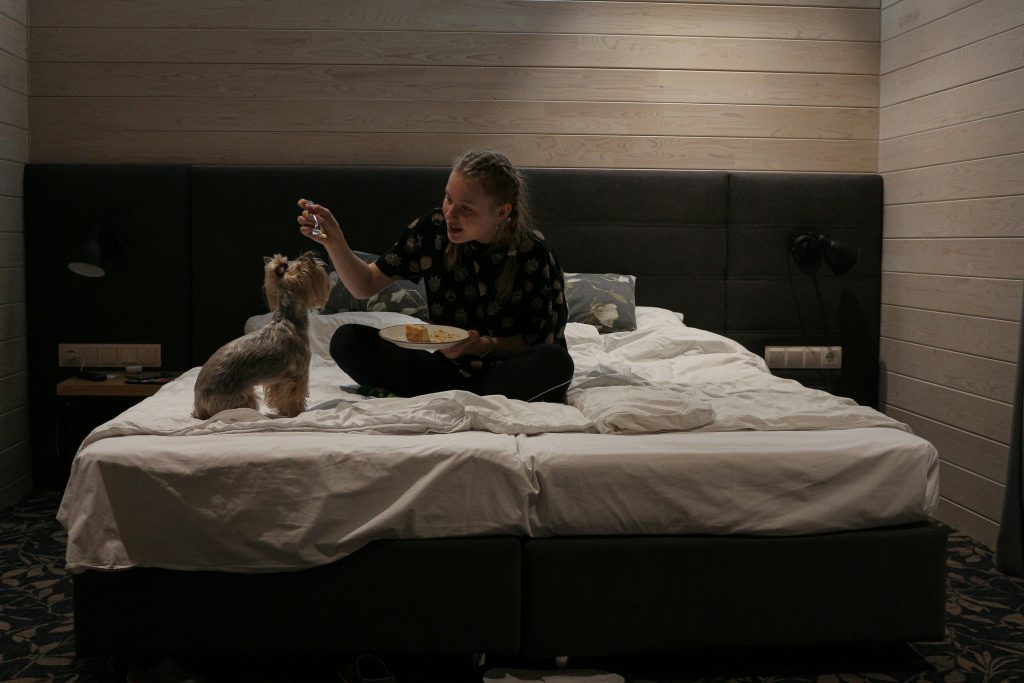 How to Find Dog-Friendly Accommodations