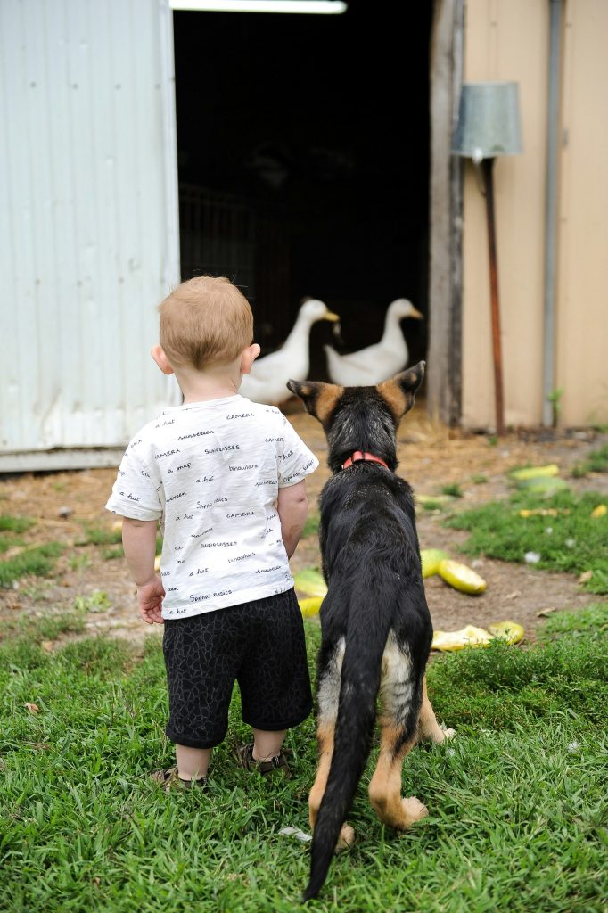 Dogs Keep Kids Active and Outdoors