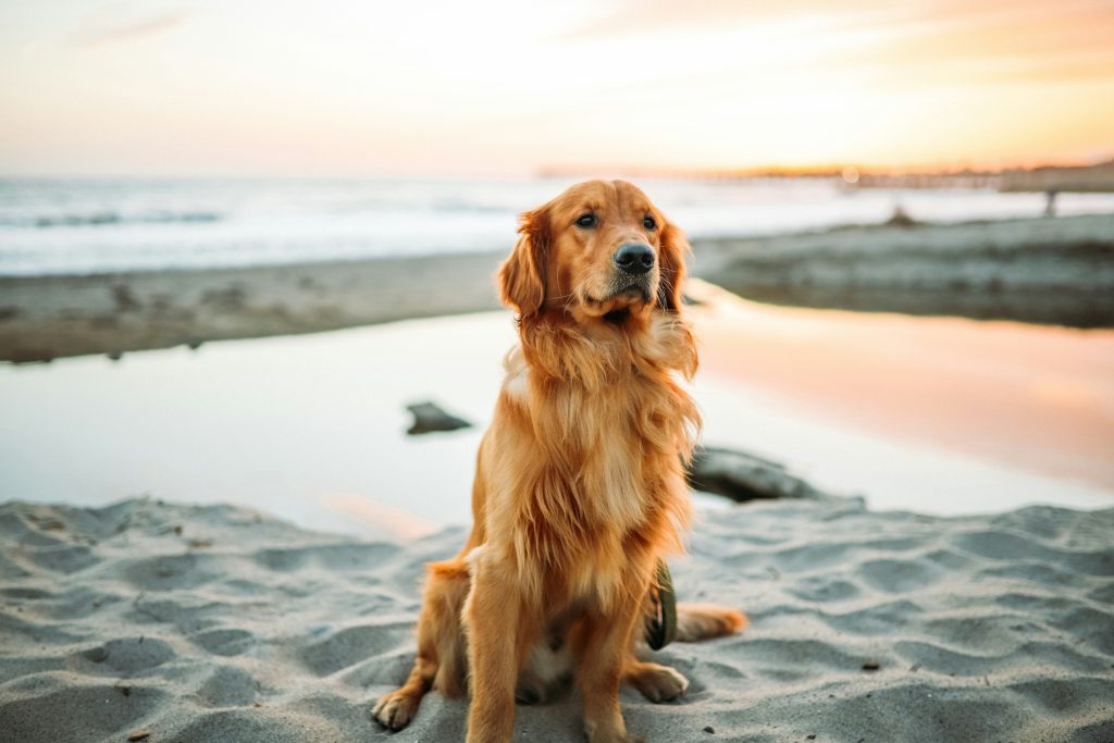 Evening Adventures When the Sun Sets