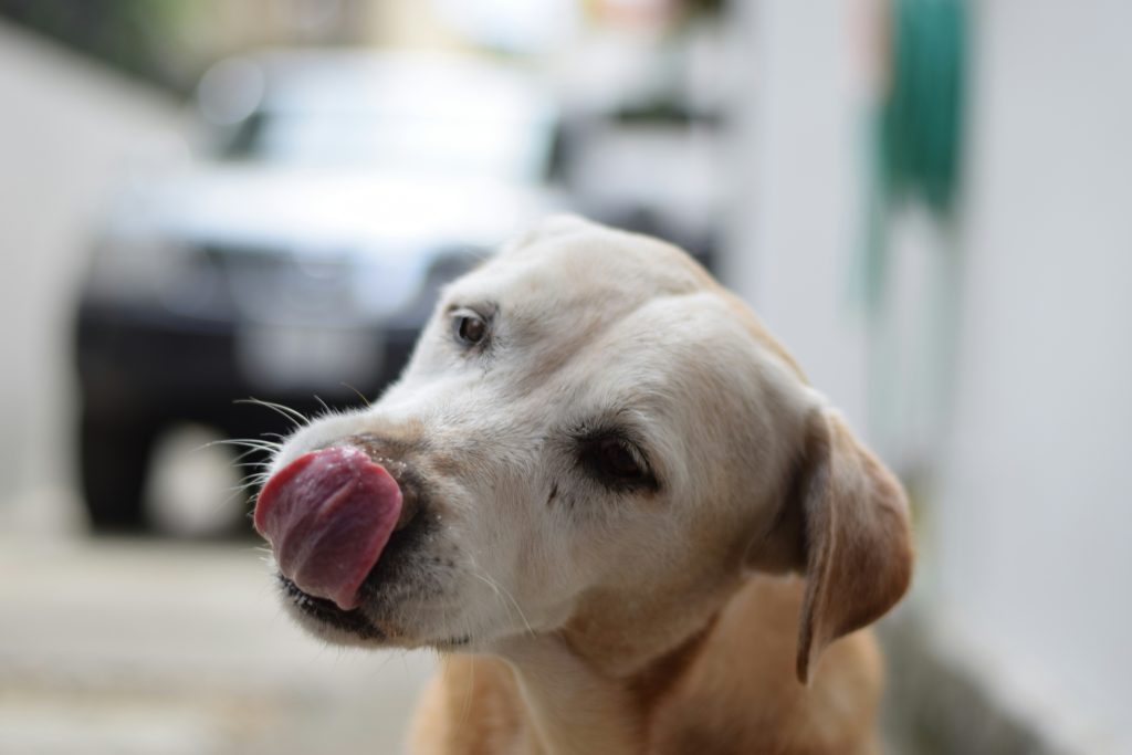 Preventing Hot Spots: Daily Habits That Help