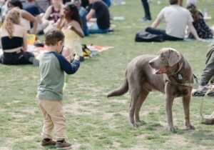 Socializing Adult Dogs: It’s Not Too Late