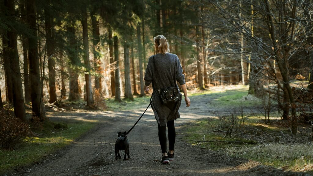 Social Skills on a Leash: How Walks Help Dogs Interact