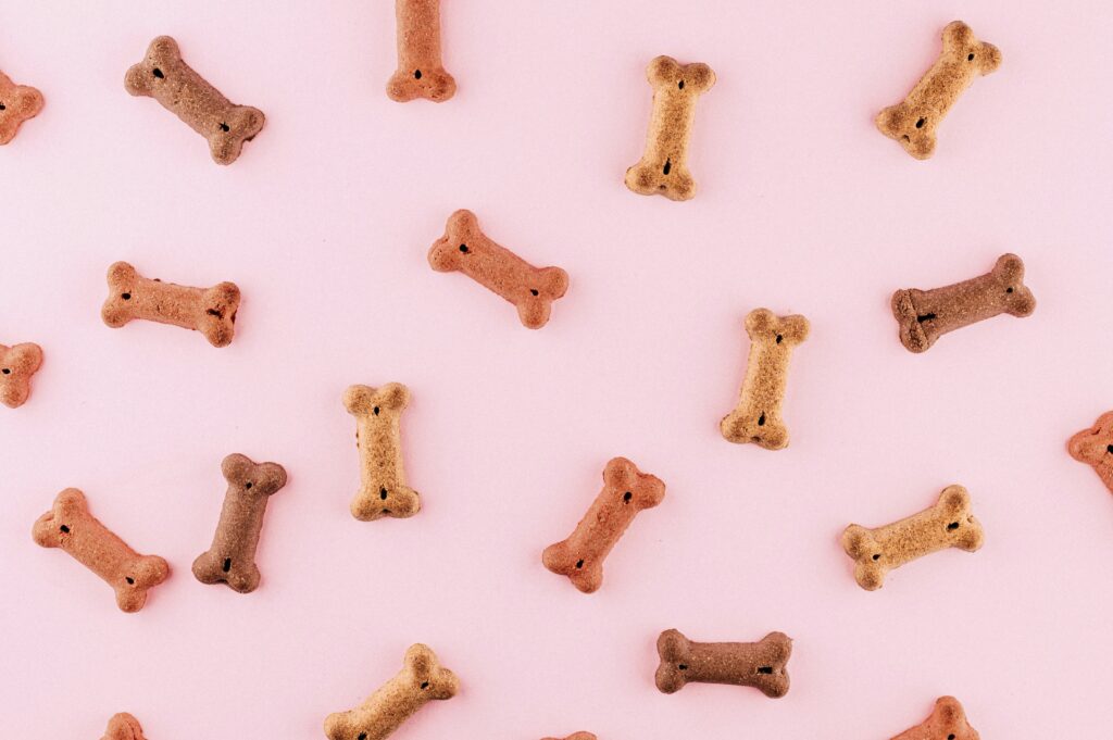 The Problem with ‘Meat By-Products’ in Dog Treats