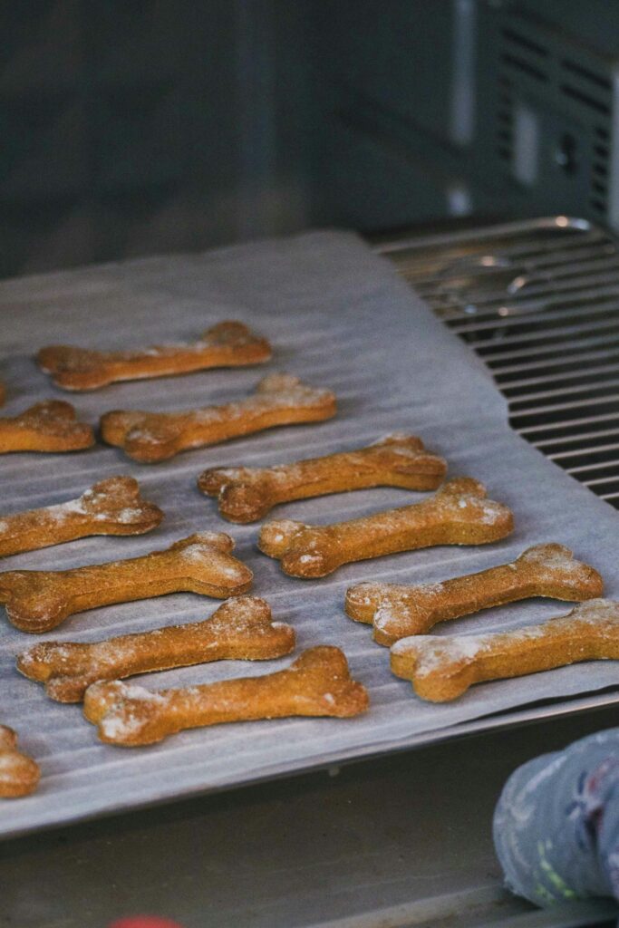 The Problem with ‘Meat By-Products’ in Dog Treats