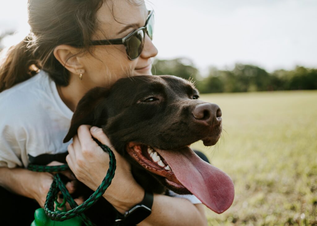 Dogs Who Speak Through Touch: Affection in Every Paw and Nose Nudge