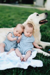 Creating Safe Spaces & Boundaries for Dogs and Babies