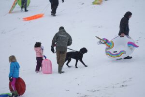 Dog-Friendly Winter Events in the Stamford, CT Area