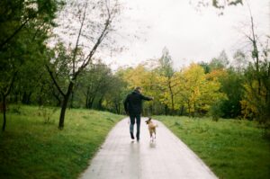 Every Walk Is a Training Opportunity (Even If You Don’t Notice)