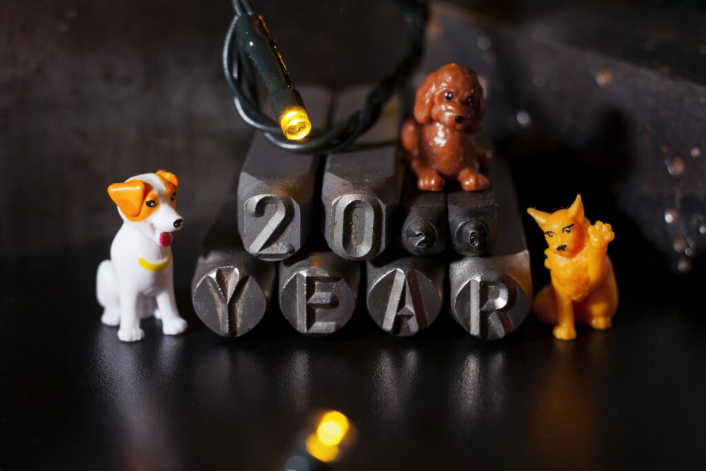 My Resolution to Stay Healthy and Active All Year