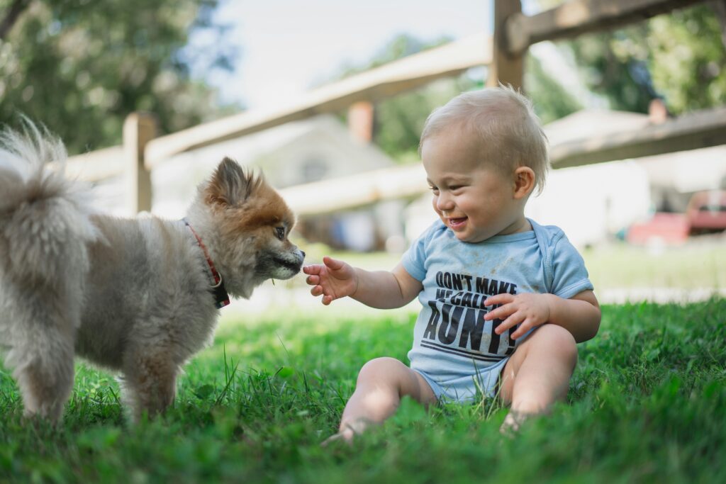 Creating Safe Spaces & Boundaries for Dogs and Babies